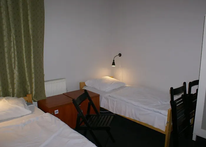 Hostel Frolic Goats *